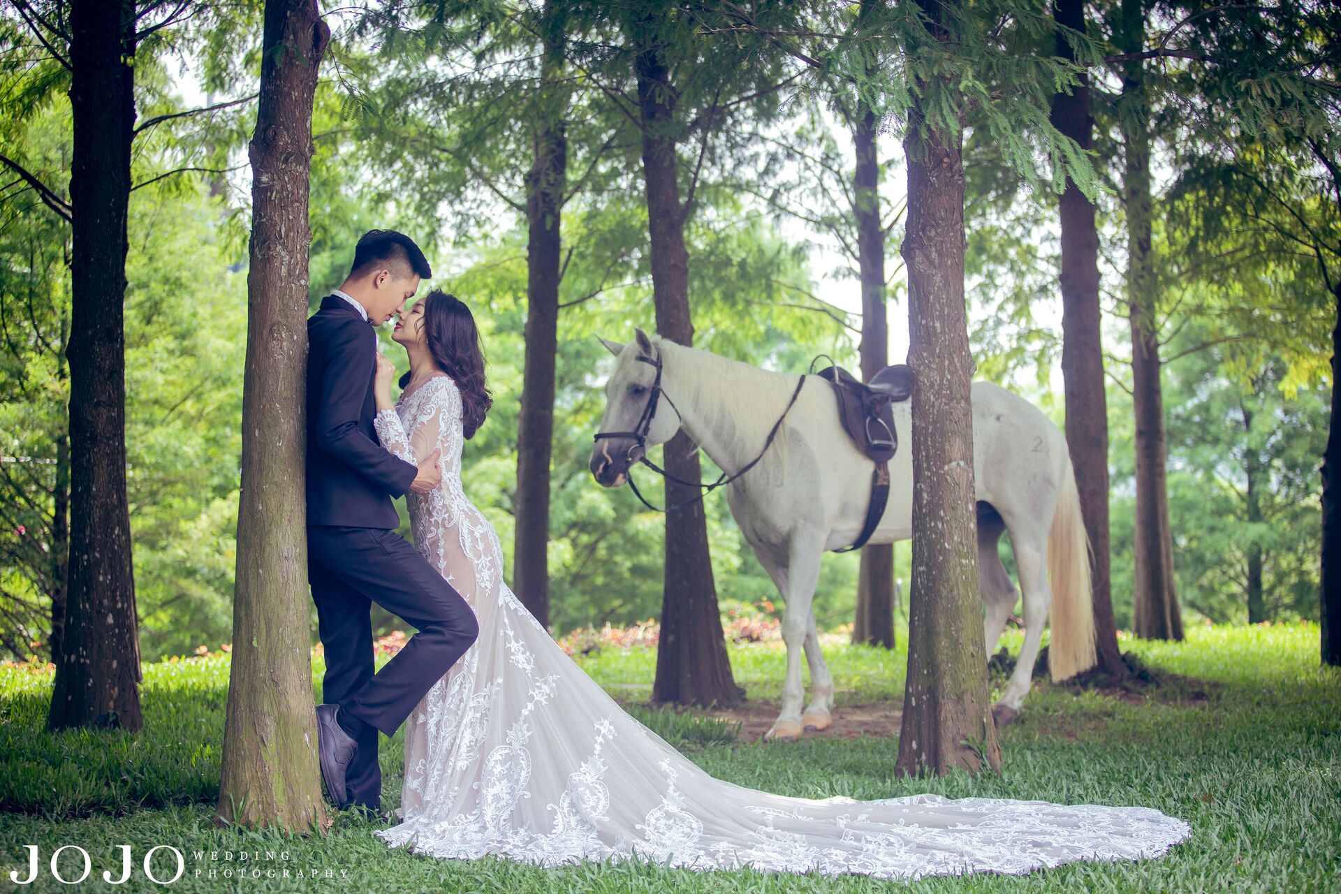 拍婚紗道具推薦-白馬